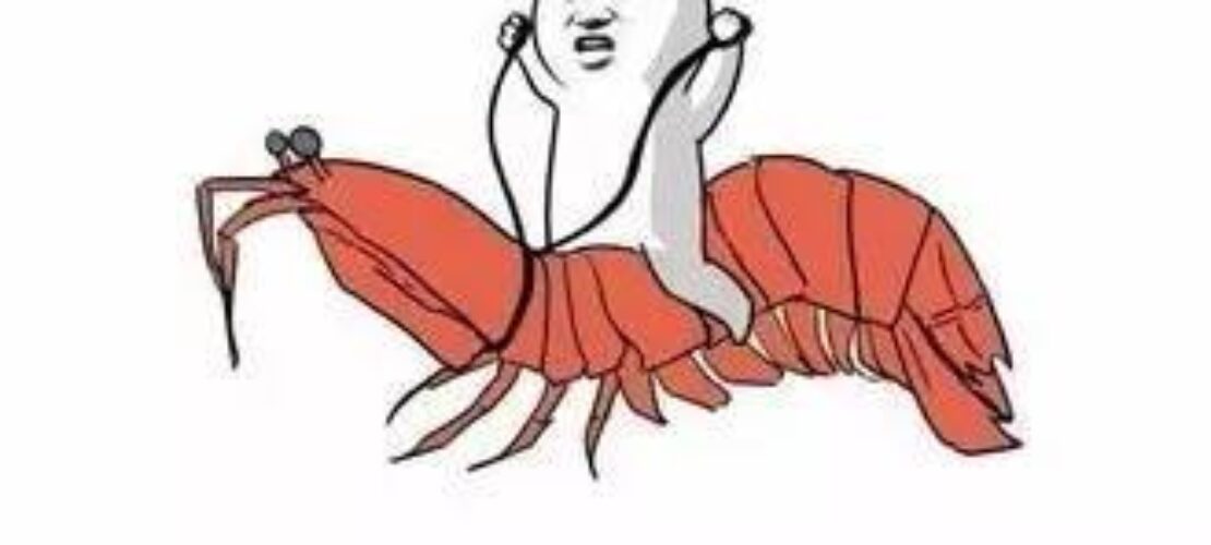 2017年五大網(wǎng)絡(luò)流行語的意思及英語翻譯法——截止到今天11月1日