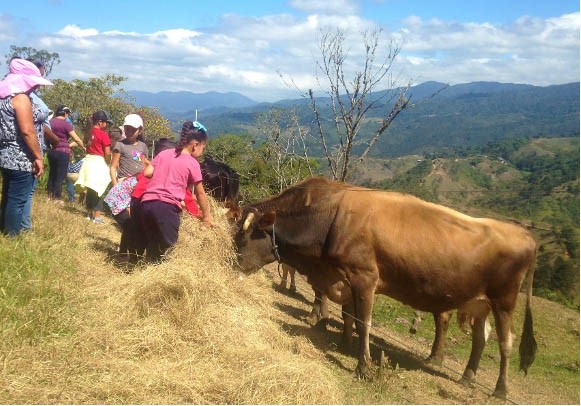 劉君浩的家鄉(xiāng)