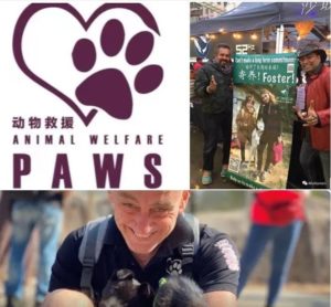 Raj 與廈門阿福之家流浪動物保護中心合作