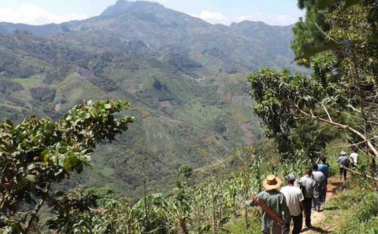 數(shù)學(xué)中的空間定位 語言與數(shù)學(xué)