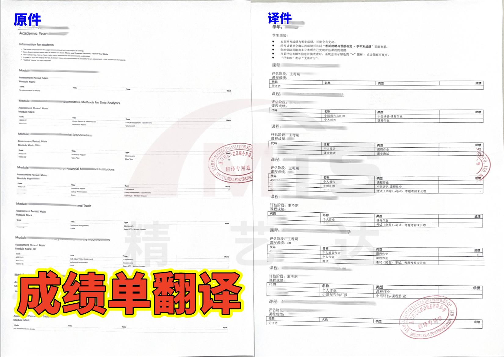 Transcript translation
