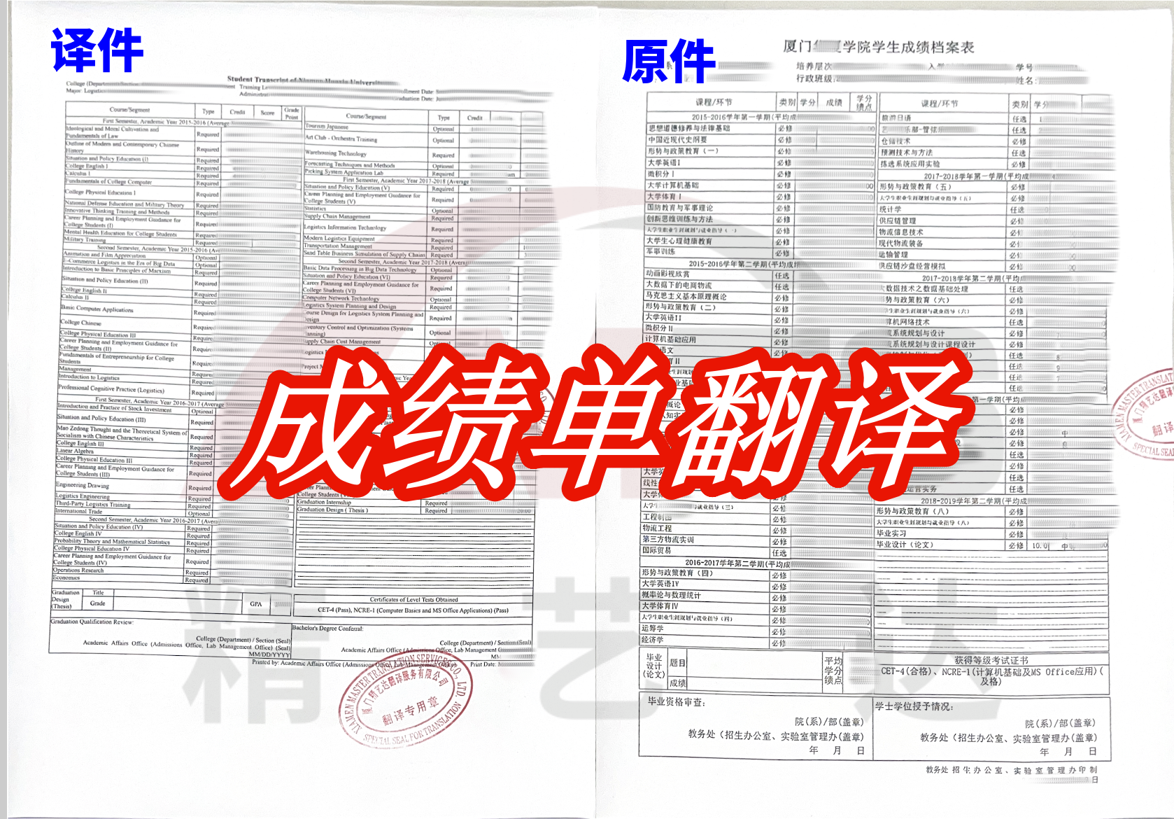 Transcript translation